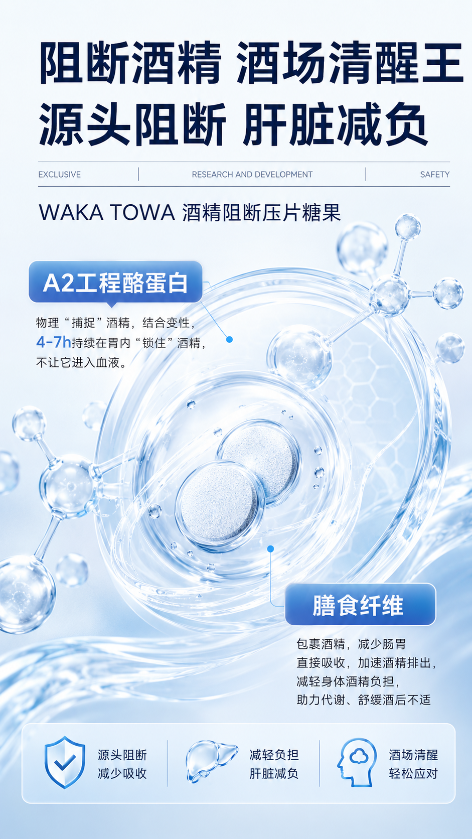 WAKA TOWA A2 工程酪蛋白与膳食纤维机制图